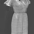 Elegant Women's White Lace Design V neck Short Sleeves Summer Dress
