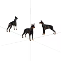 Three Doberman Dog Figurines Standing In Different Poses On White Background 3d model