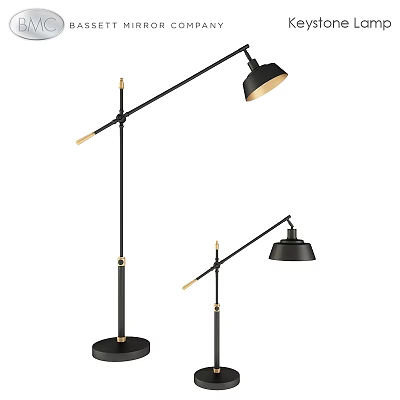 Modern Black Floor Lamp With Adjustable Arm And Gold Accent Base 3d model