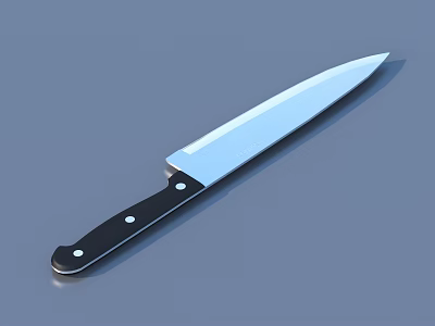 Sharp Stainless Steel Kitchen Knife With Silver Blade Black Handle And White Rivets 3d model