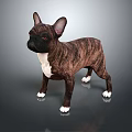 3D Rendering Of Brown Black French Bulldog With White Paws Standing On Gray Background