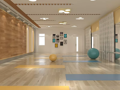 Spacious Bright Fitness Studio With Wooden Floor Yoga Balls Mirrors And Decorative Paintings 3d model