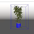 Tall Indoor Potted Plant With Green Leaves In Light Colored Pot For Decoration