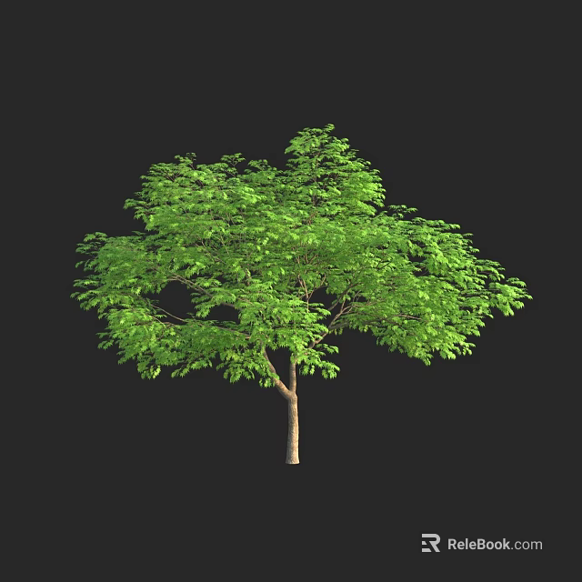 Lush Green Arbor With Dense Leaves And Brown Trunk On Black Background 3d model 