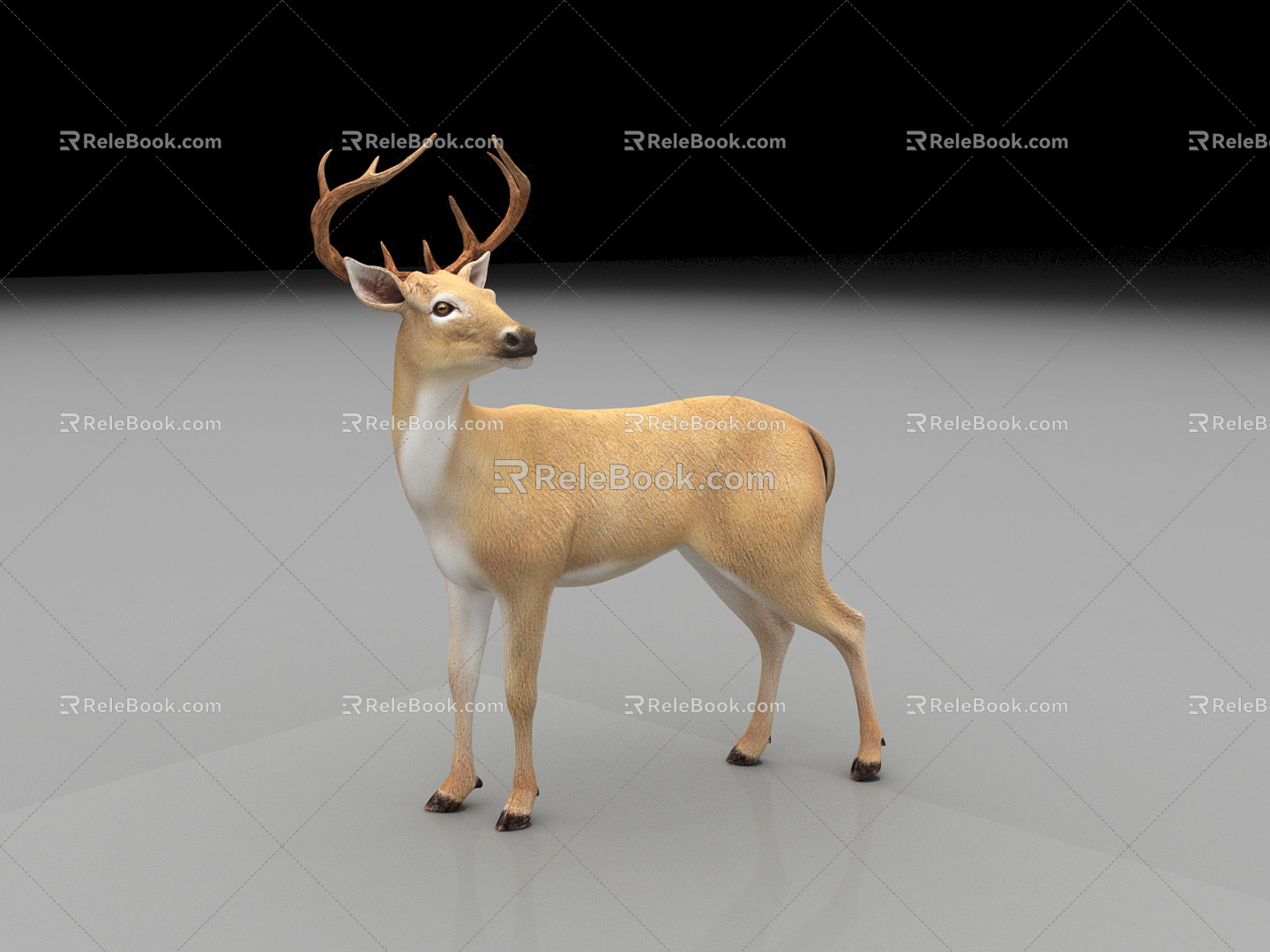 Modern Deer Animals 3d model