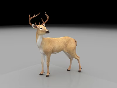 Light Brown Reptile Standing On Gray Surface With Black Background 3d model