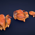 Roasted Chicken Display With Whole Birds And Pieces On Dark Background
