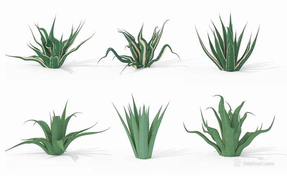 Green Leafy Aloe Vera Potted Plants With Different Varieties And Decorative Succulents 3d model 