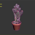 Potted Green Thorny Cactus Plant in Red Ceramic Pot for Indoor Decor
