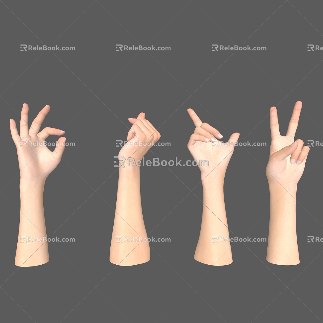 hand gesture palm finger pretty hand woman's hand 3d model