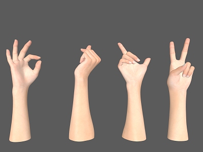 hand gesture palm finger pretty hand woman's hand 3d model