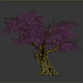 Single Tree With Purple Flowers Thick Trunk And Exposed Roots On Dark Background