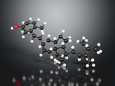 3D Biological Molecular Structure Model for Organs and Hair Key Components 3d model