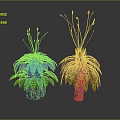 Vibrant Cartoon Plants With Colorful Leaves Red Top Decorations And Different Colored Pots