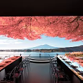Cherry Blossom Covered Banquet Hall With Lake View Mount Fuji And Dining Table Settings