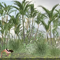 Scenic Lush Tropical Palm Trees and Green Grass with Flamingos in Water