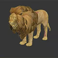 3D Rendered Lion With Fluffy Orange Brown Mane Standing On Shiny Surface