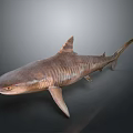 Realistic 3D Rendered Striped Brown Shark with Lifelike Features on Dark Background