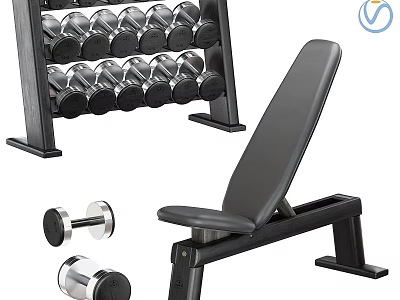 Home Gym Equipment Dumbbell Rack Weight Bench And Chrome Dumbbells For Sports Training 3d model