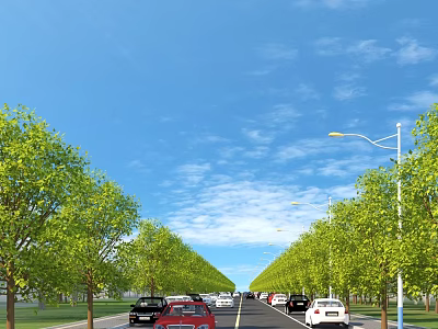 Municipal Road Scene With Green Trees Street Lamps And Moving Vehicles Under Blue Sky 3d model