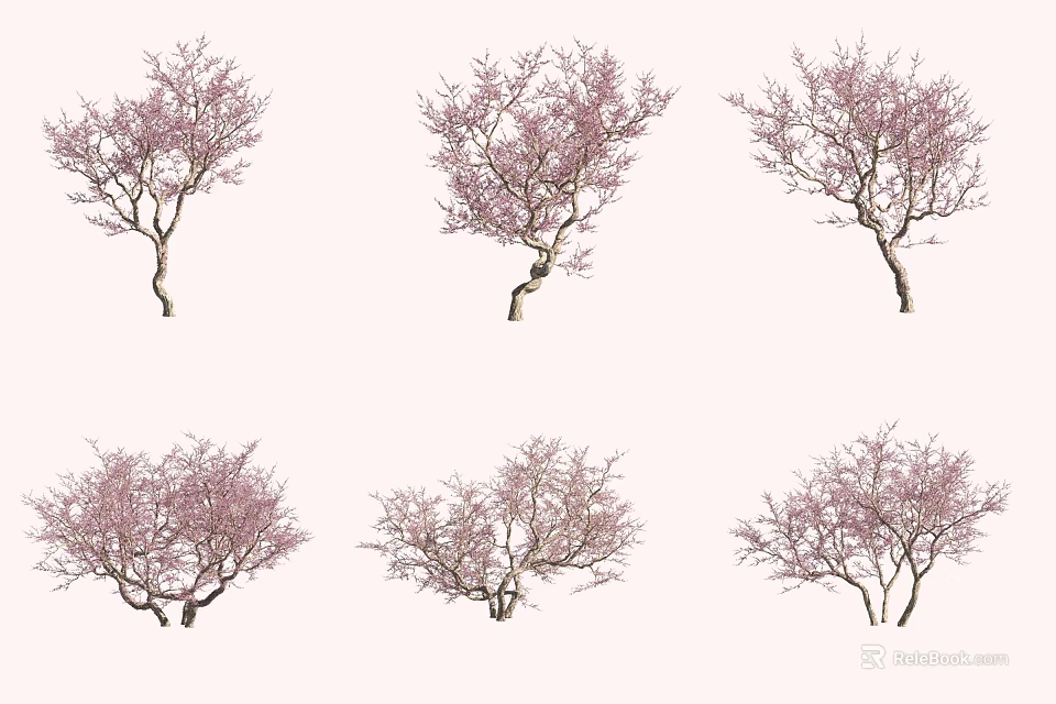 Six Beautiful Pink Blossom Trees With Graceful Branches Against White Background 3d model 