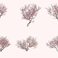Six Beautiful Pink Blossom Trees With Graceful Branches Against White Background