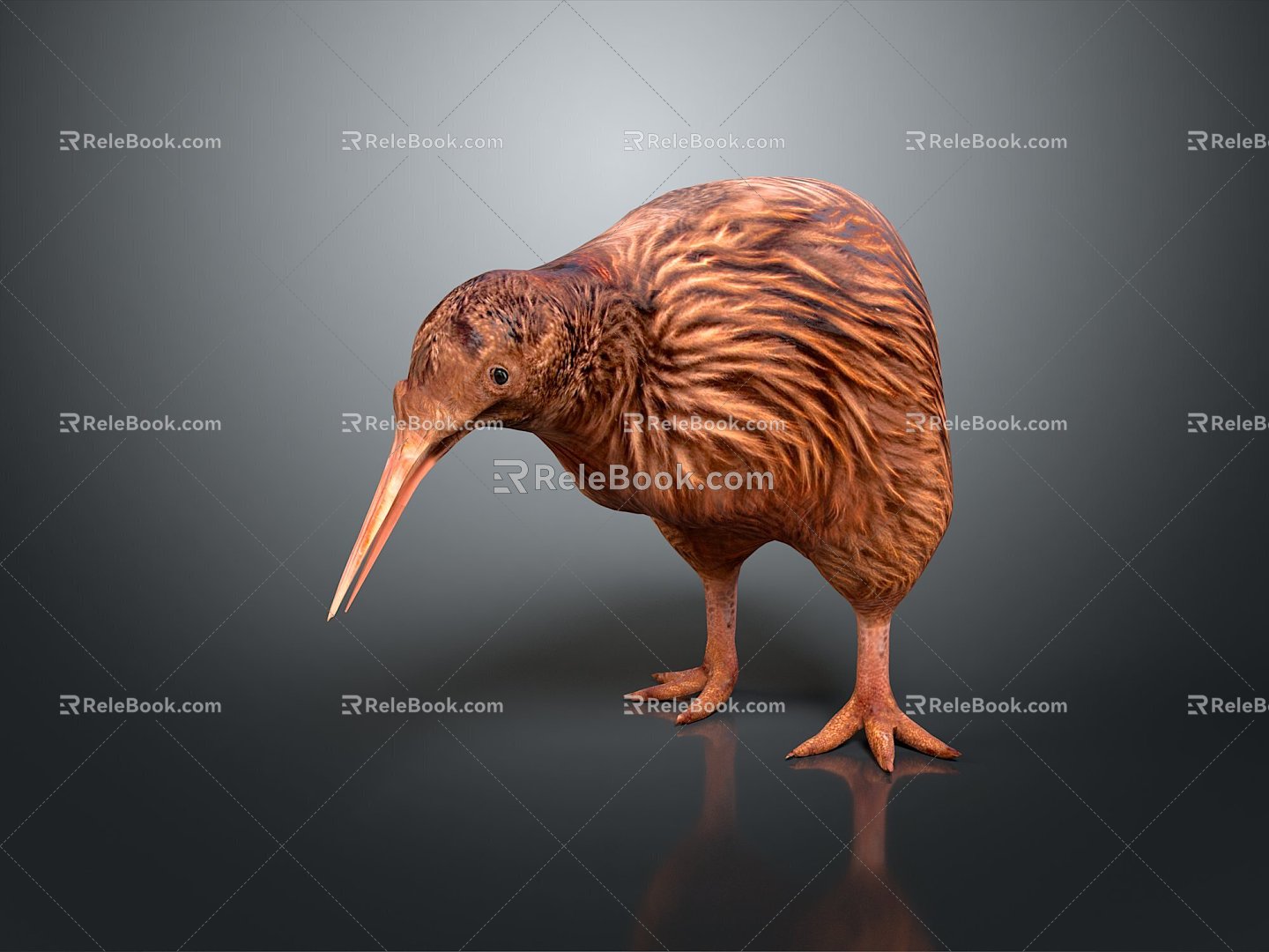 Modern wingless bird bird bird bird 3d model