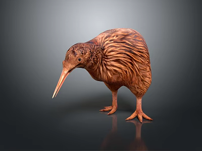 Kiwi Bird With Brown Feathers And Long Beak Standing On Gray Gradient Background With Reflection 3d model