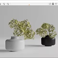 White and Black Minimalist Vases with Green Leafy Plants on Light Background