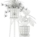 Decorative Potted Plants On Stands With Hanging Vines And Lush Green Leaves