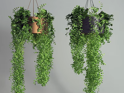 Lush Green Trailing Hanging Basket Plants in Brown and Dark Gray Pots 3d model