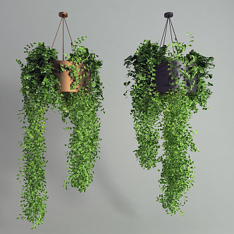 Modern hanging basket plant chandelier 3d model