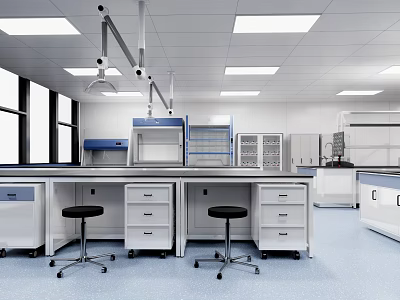 Modern Lab Interior Design With Benches Fume Hoods Storage Cabinets And Lighting 3d model