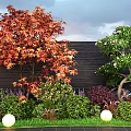 Garden Landscape With Red Leaf Trees Pink Flowering Trees Dark Wall Round Lights On Lawn