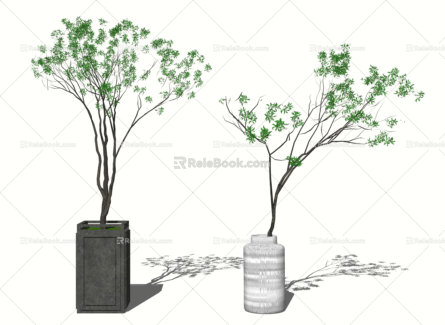 Modern Potted Plant model