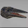 Detailed Crocodile Head Model With Sharp Teeth Textured Skin And Yellow Eyes