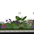 Vibrant Garden Flowers With Purple Blooms Green Foliage And Shrubs