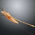 Golden Locust Decorative Sculpture Art Piece With Elongated Body And Metallic Wings