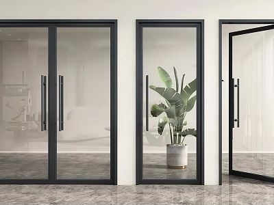 Modern Black Framed Glass Doors Interior With Potted Plant And Marble Floor 3d model