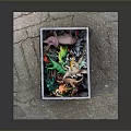 Wooden Box Filled With Various Colored Dinosaur Toy Figures For Kids