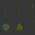 Different Types Of Indoor Plants With Green Leaves Pink Flowers And Hanging Vines