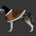 Siberian Husky Wearing Brown Dog Vest With White Trim Standing Isolated
