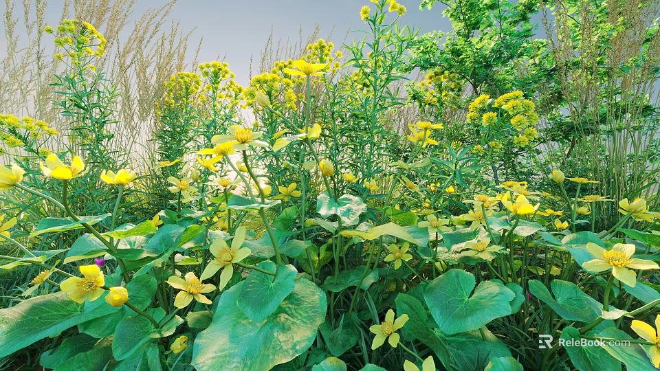 Beautiful Lush Garden with Yellow Flowers Green Leaves and Various Plants 3d model 