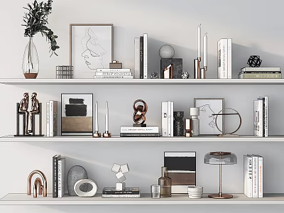 Modern Home Decorative Ornament Collection on Shelves with Sculptures Vases Frames Books and Lamp 3d model