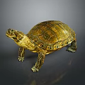 Brown and Yellow Shelled Turtle on Gray Background Detailed Reptile