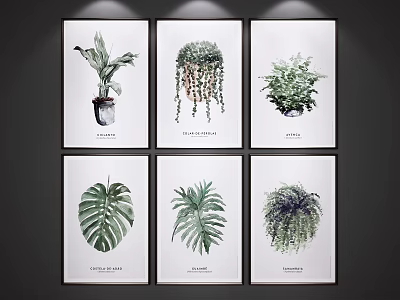 Decorative Botanical Plant Paintings with Various Plant Species for Home Wall Art 3d model