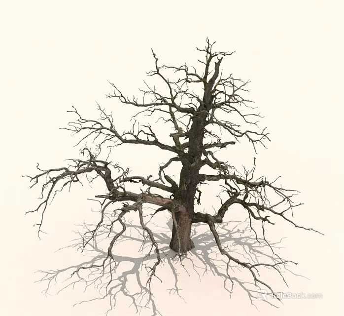 Leafless Tree With Gnarled Trunk And Bare Branches On Light Background 3d model 