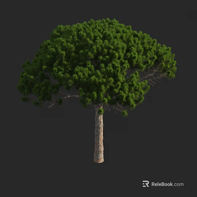 Tall Arbor With Lush Green Foliage And Sturdy Brown Trunk 3d model 