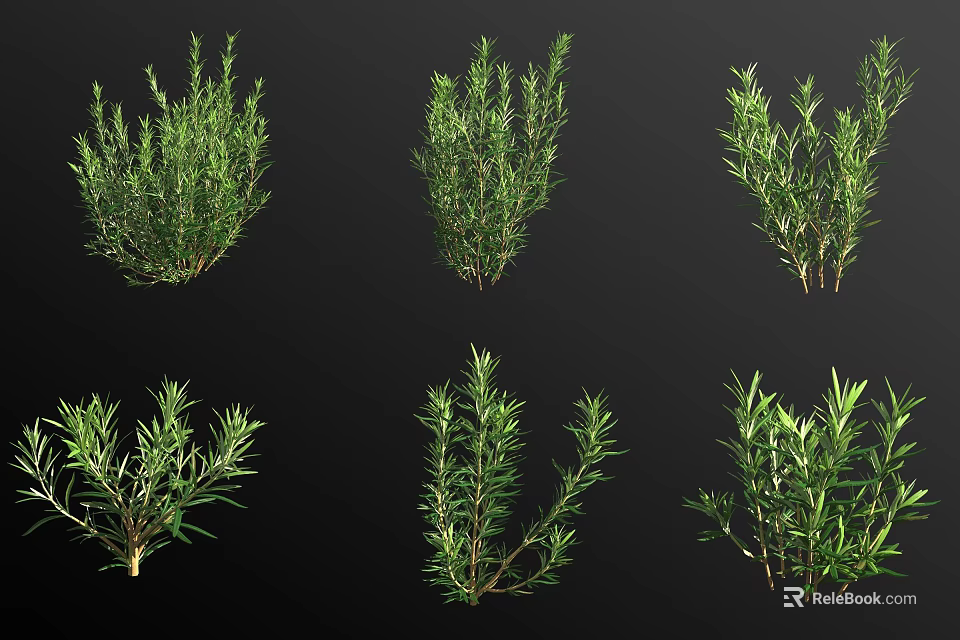 Bonsai Potted Plants With Lush Green Foliage And Various Natural Shapes 3d model 