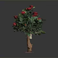 Potted Rose Plant With Red Roses Green Leaves Brown Trunk Pink Base On Gray Background